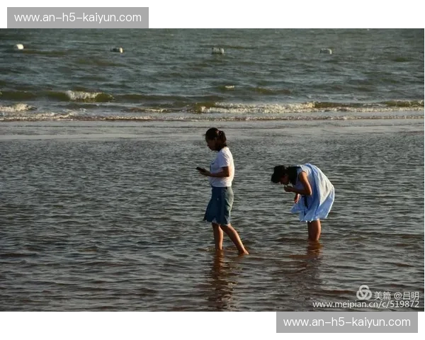 BMX阵容:街头激情与专业力量的完美组合 BMX阵容:街头激情与专业力量的完美组合